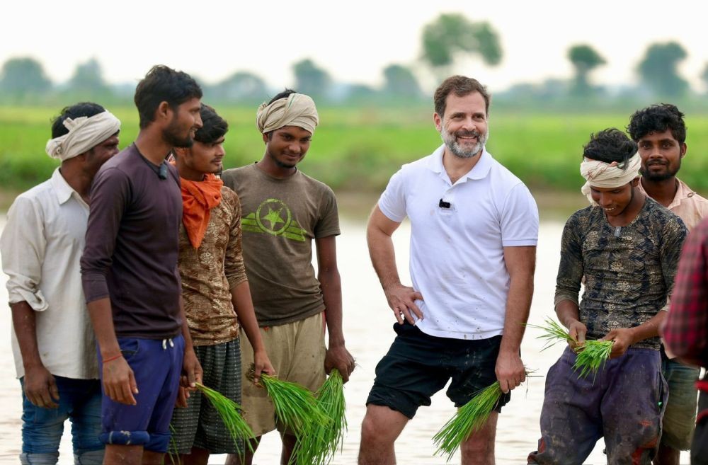 Haryana: Congress leader Rahul Gandhi interacts with farmers at a farm in the interiors of Haryana, Saturday, July 8, 2023. Rahul Gandhi was seen driving a tractor, sowing seeds, and doing conversations with farmers at the fields in Baroda and Madina.(IANS/Twitter: @INCIndia)