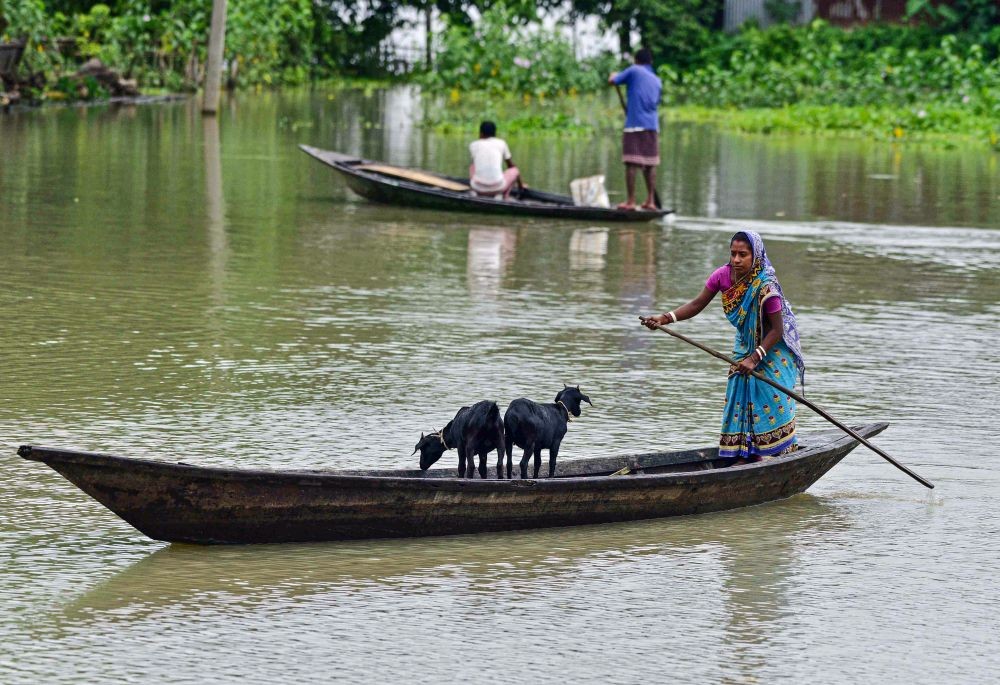 Morigaon : A woman shift her goats on a country boat through flood waters in the flood-affected Mayong Village in Morigaon District of Assam on Monday, July 17 ,2023. (Photo:IANS/Anuwar Hazarika)