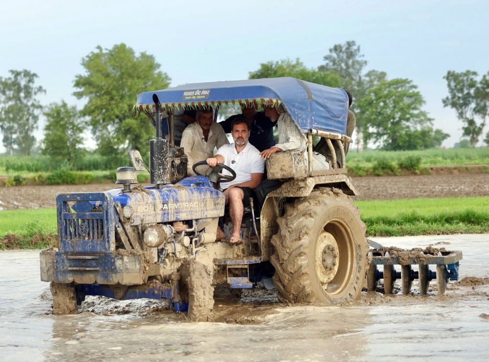 Haryana: Congress leader Rahul Gandhi interacts with farmers at a farm in the interiors of Haryana, Saturday, July 8, 2023. Rahul Gandhi was seen driving a tractor, sowing seeds, and doing conversations with farmers at the fields in Baroda and Madina.(IANS/Twitter: @INCIndia)
