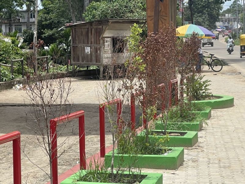 Barely a month after its opening, most decorative trees planted alongside the ‘vertical garden’ near the Dhansiri Bridge and Urban Haat, Dimapur, are seen withered on July 7, possibly due to inadequate maintenance evident from the surrounding weeds. Described as a much-needed aesthetic facelift to ‘dull cityscapes,’ the garden was opened to the public on May 29. Since the inauguration, however, the garden has been attracting a fair share of visitors, primarily drawn by photo opportunities and selfies with the 'I Love Dimapur' landmark resembling a musical instrument. (Morung Photo)