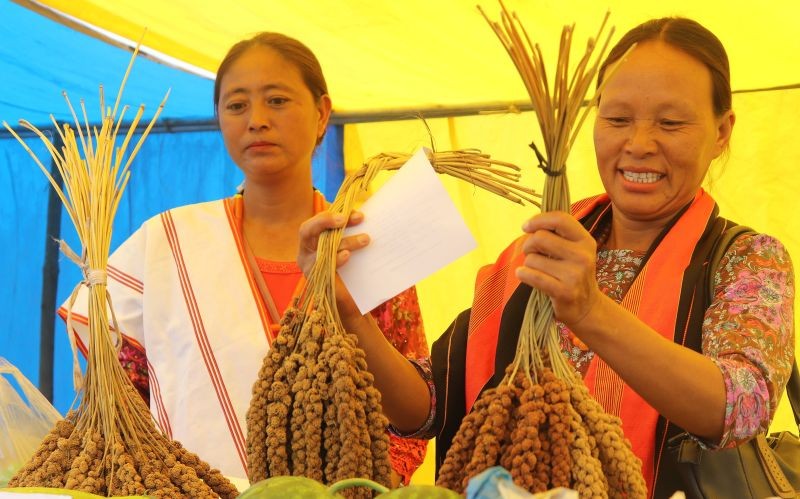 Phor Millet Sisters during the Millet Festival held in New Phor village, Phek district on August 9, 2023. (Photo Courtesy: North East Network)