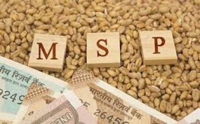 MSPs of coarse grains rise by 100-150% between 2014-15 and 2023-24