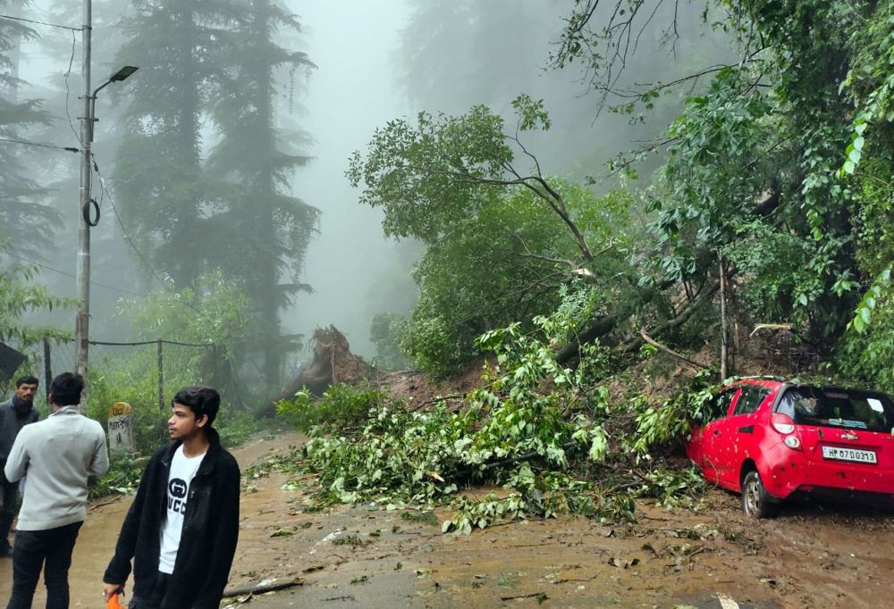 Shimla: A damaged car after an uprooted tree fell on it following a massive landslide near Tara Mata Mandir, BCS, Shimla, on Monday, August 14. 2023. (Photo: IANS/Twitter/@TTRHimachal)