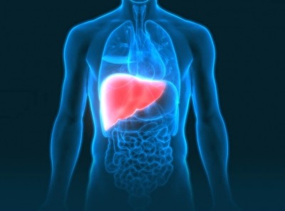 Family member suffering from fatty liver disease? You may be at similar risk