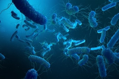 Scientist engineered bacteria to generate electricity from wastewater