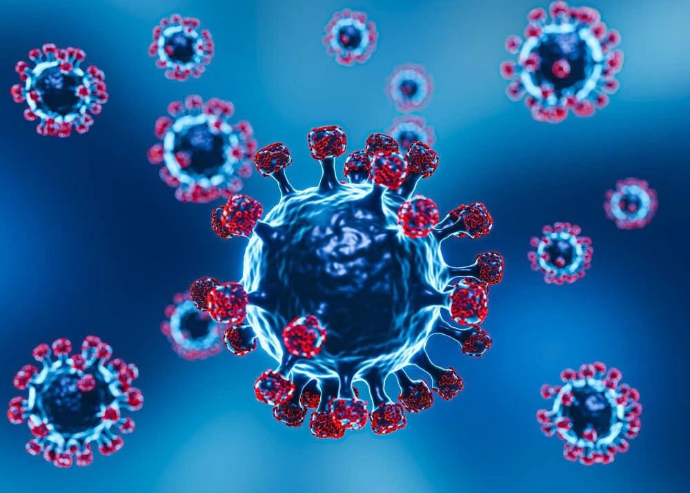 JN.1 represents 'very serious evolution' of Covid virus, say global experts