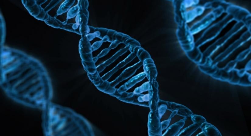 DNA. (IANS Photo)