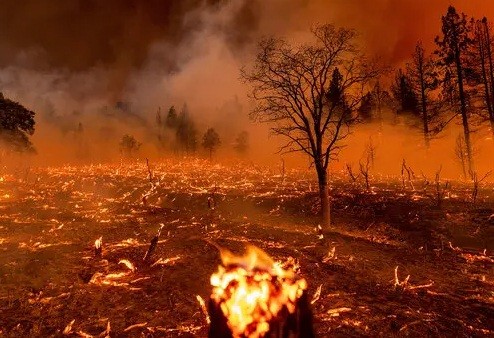 Wildfire. (IANS Photo)
