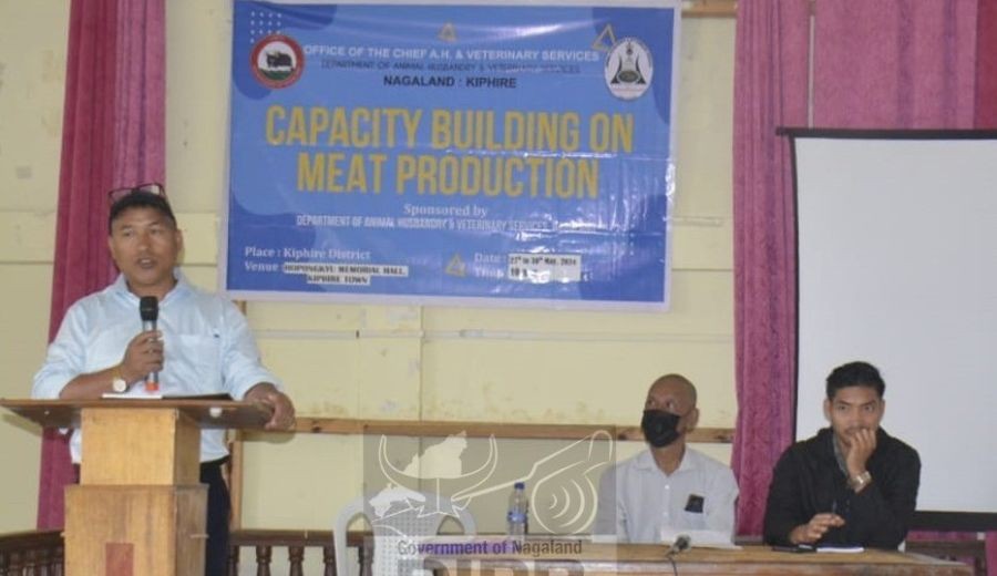 Dr Tsilise, District Livestock Development Officer, Kiphire during the capacity building training on meat production held on May 27. (DIPR Photo)