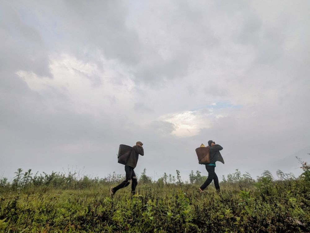 The Journey Itself Is Home… Against a foggy monsoon morning backdrop, two locals from ITC Dan village at the Indo-Myanmar border under Noklak district are seen carrying essential rice supplies on traditional bamboo baskets back home. (Morung Photo)