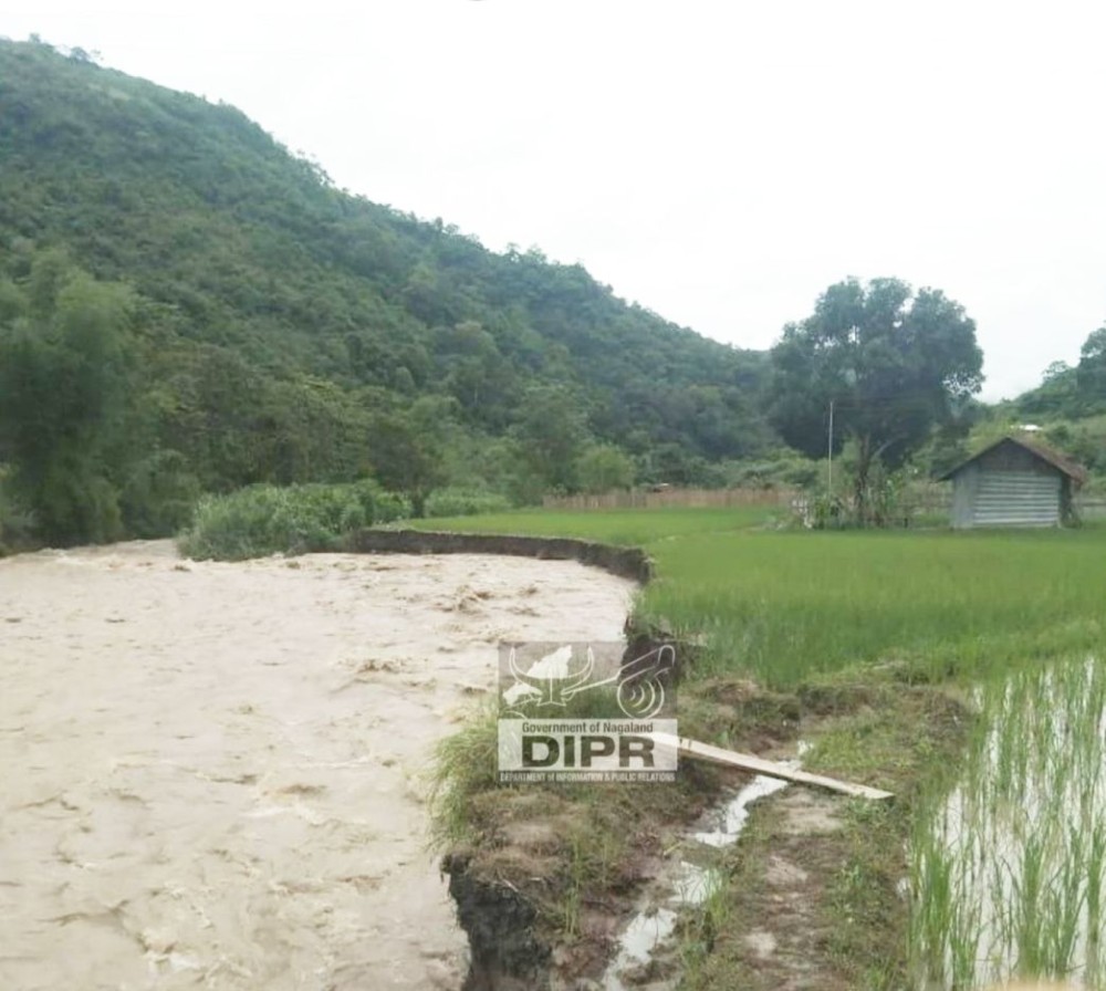 Incessant rain caused soil erosion and damaged paddy fields at Thusangki River, Kiphire district on July 2. (DIPR Photo)