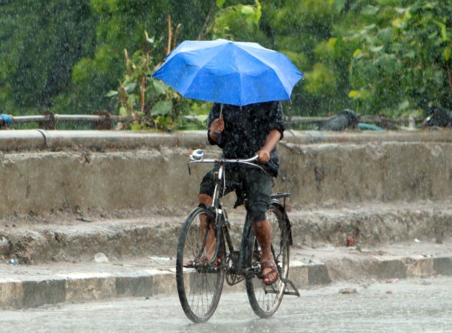 A man rides his cycle amid heavy rainfall in New Delhi on Monday, August 12, 2024.(IANS/Wasim Sarvar)