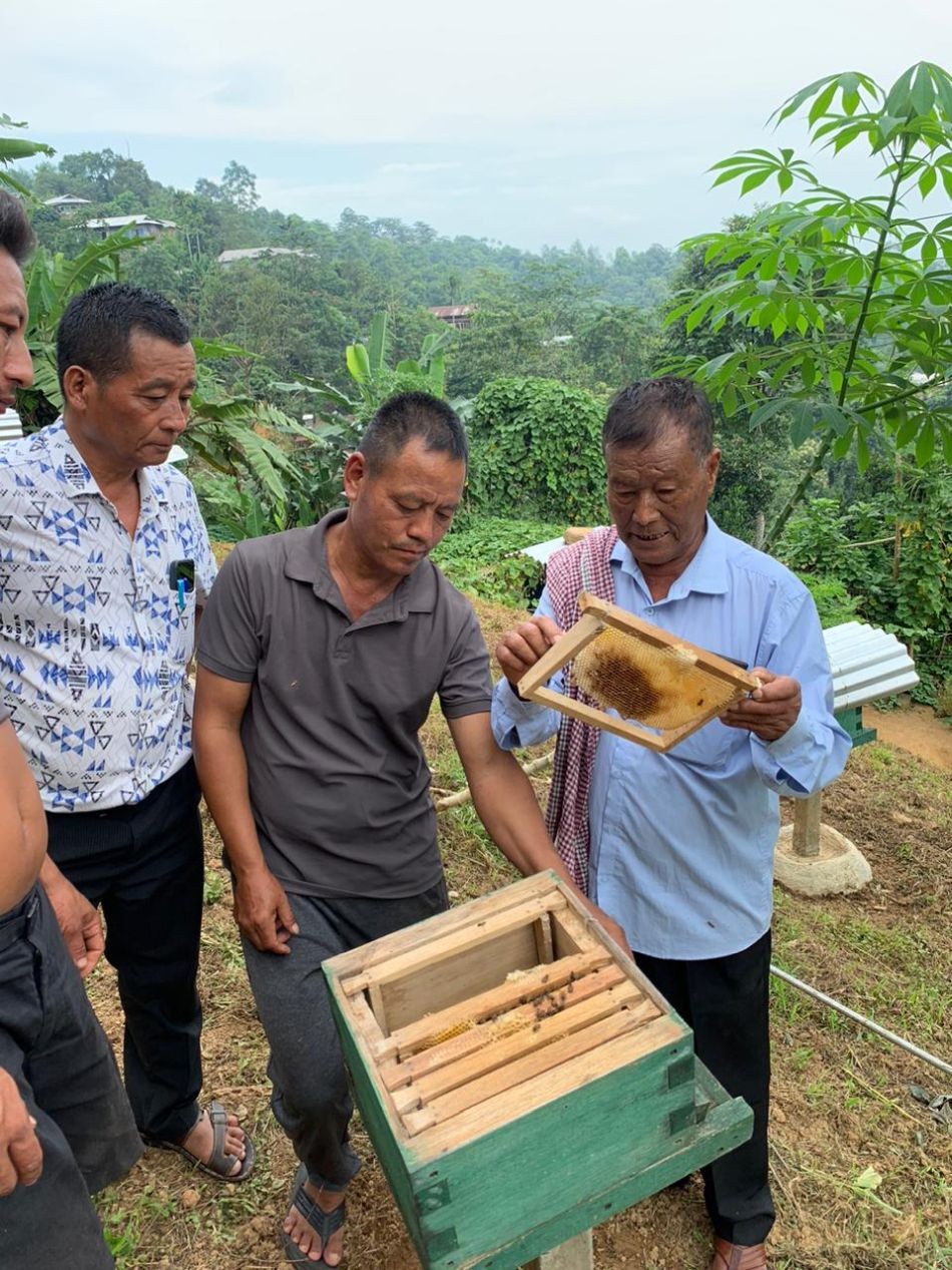 The Mokokchung Forest Division organized a hands-on beekeeping training session on September 21 at Waromung village.
