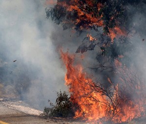 Rocket barrage fired from Lebanon at Israel, Golan Heights, prompting shelter warnings