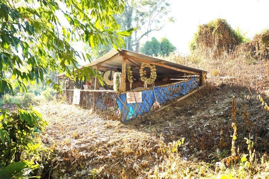 Graves of 13 out of the 14 youths who were killed by security forces in Oting on December 4 and 5, 2021, are seen in this photo taken on December 3, 2022. (Morung File Photo)