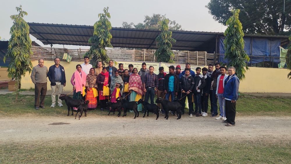 Participants of the programme conducted by the ICAR-NRC on Mithun.