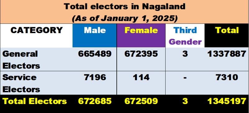 Source: Chief Electoral Officer Nagaland