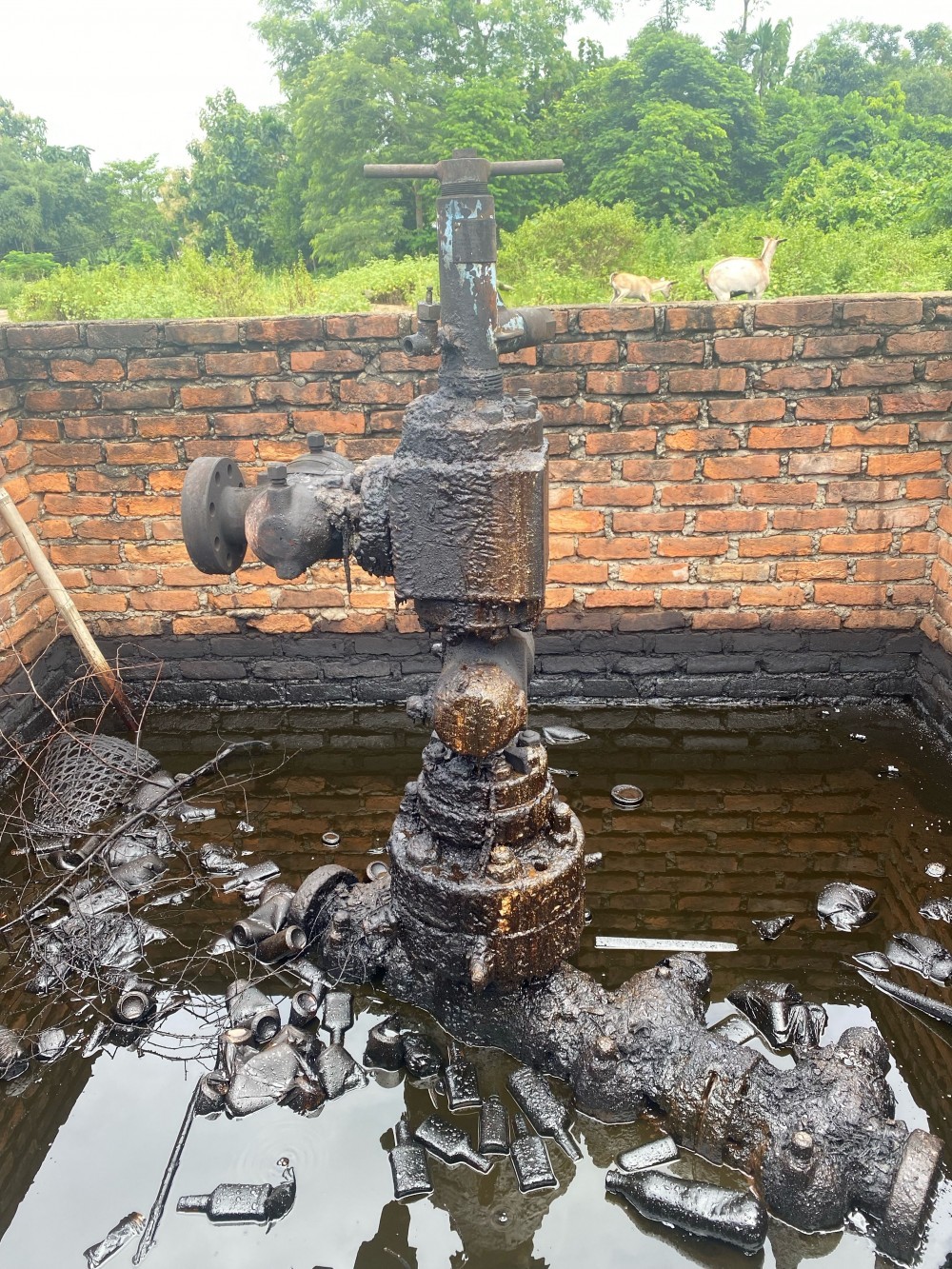 Condition of Tssori-Champang ONGC in Wokha district. (File Photo)