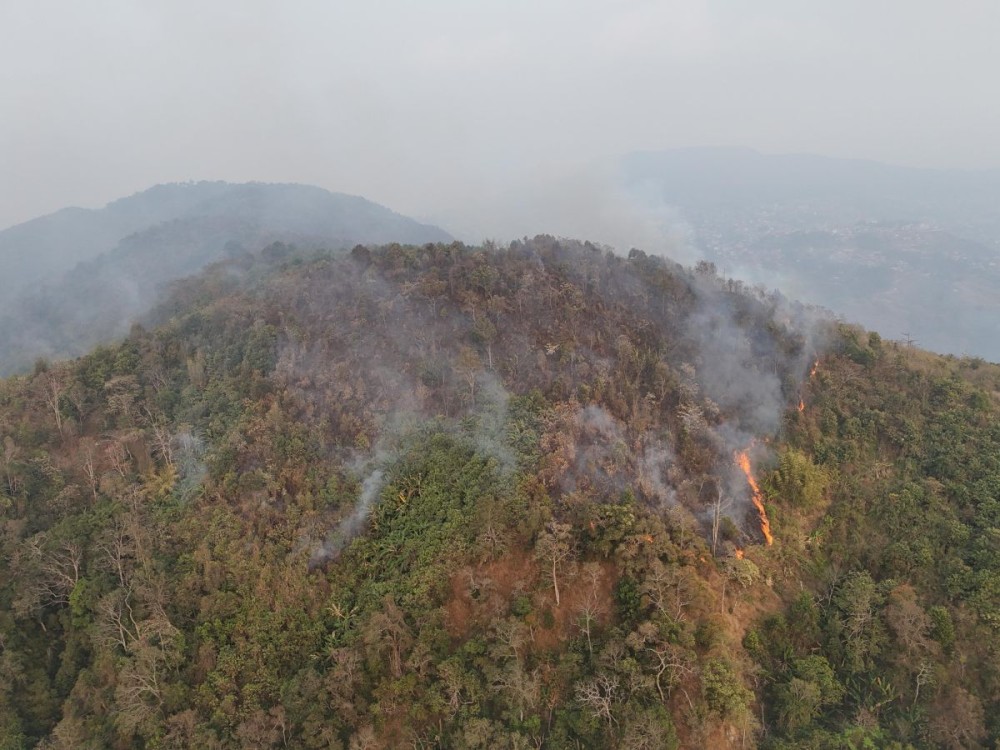 Tireless efforts to control massive wildfire at Wokha | MorungExpress ...