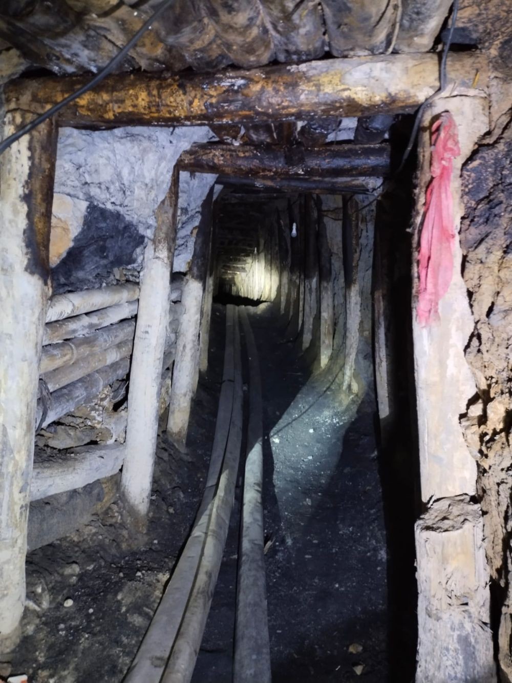 The rat hole mine in Ruchayan village under Wokha district, the site of major mining incident on January 25, 2024. The S&WC Dept has expressed concern over uncontrolled expansion of rat-hole and open-cast coal mining in Nagaland. (Morung File Photo)