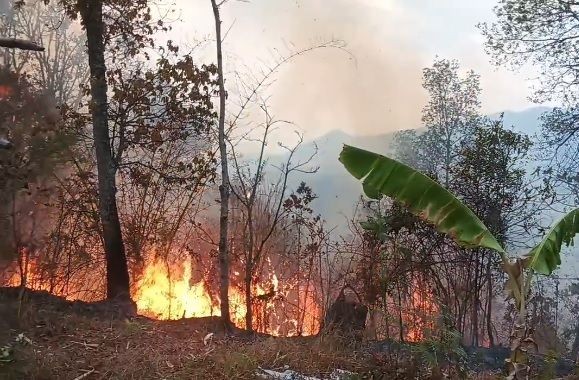 A forest fire occurred at Tsenhi, Tseminyu District on April 10