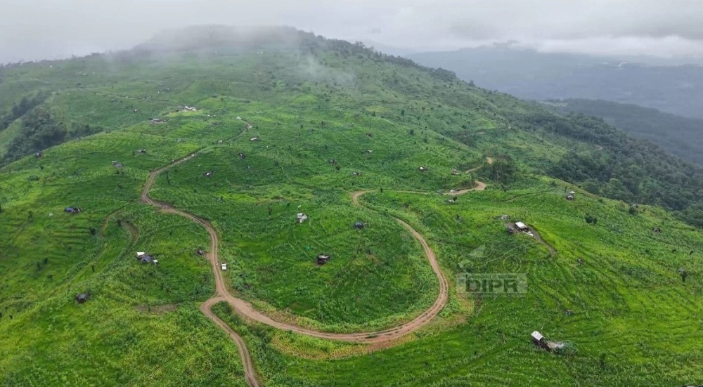 Jhum Field New agriculture policy in pipeline for Nagaland | MorungExpress ...