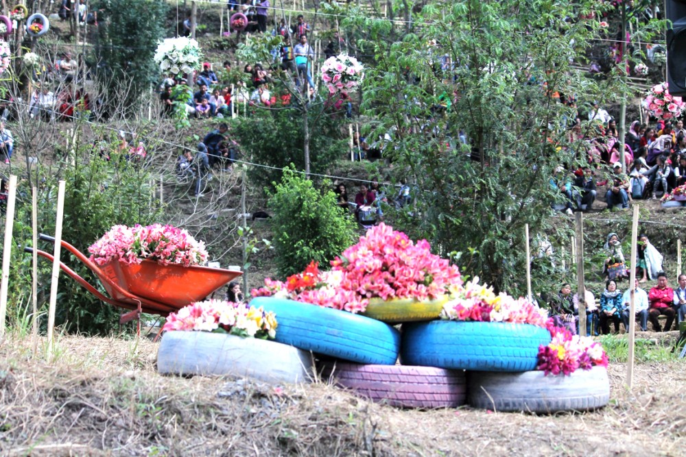 A Flower Festival is underway from April 9-11 at Phukhro, Mao Gate. (Morung Photo)