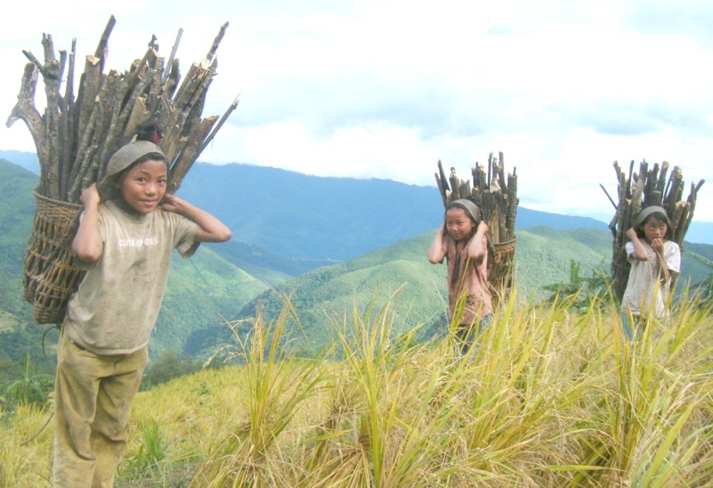 Children return home after collecting firewoood at Phughi Village in Phek district. (Morung Photo)