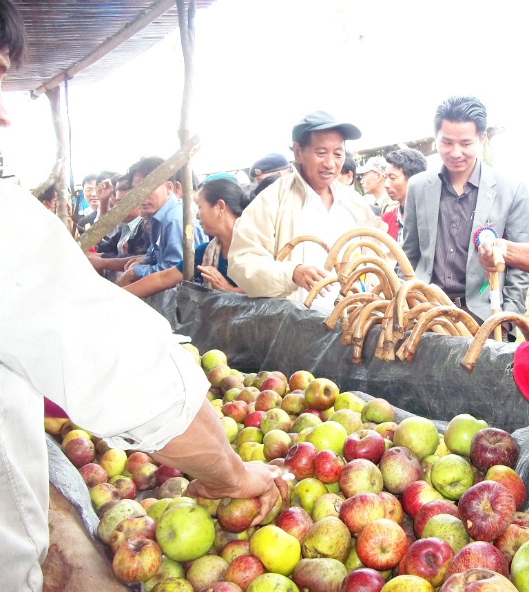 Parliamentary Secretary for CAWD, T Torechu (in cap) and DC Kiphire, Kesonyu Yhome, visiting the stalls during the “Apple Festival 2012”  held at Thanamir village on Sept 11.