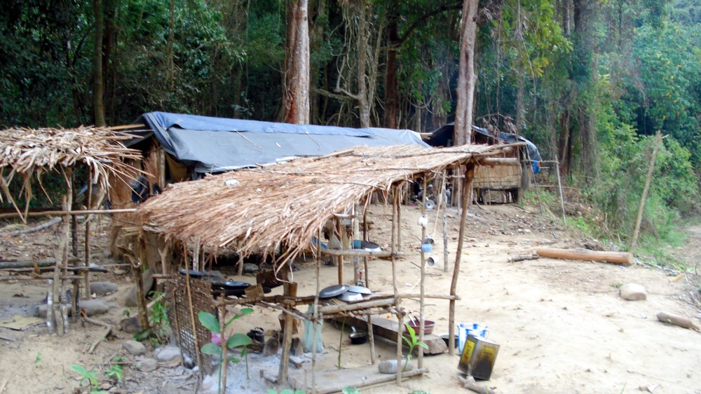 A camp set up by timberleggers inside Intangki National Park.