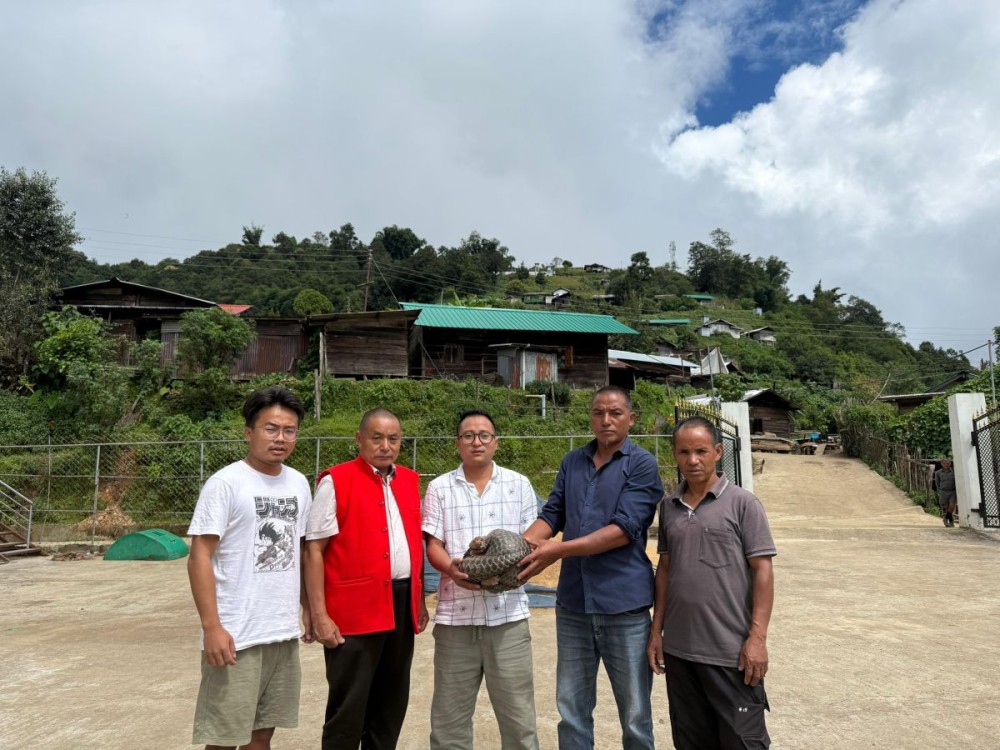 Tsutoho CCA and Village Council Rescue and Relocate Critically Endangered Chinese Pangolin at Tsutoho on September 28.