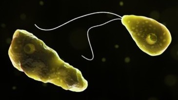 US CDC/IANS Photo