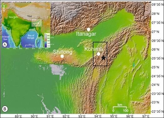 Locality in Nagaland (marked by star) from where the fossil leaves were collected.