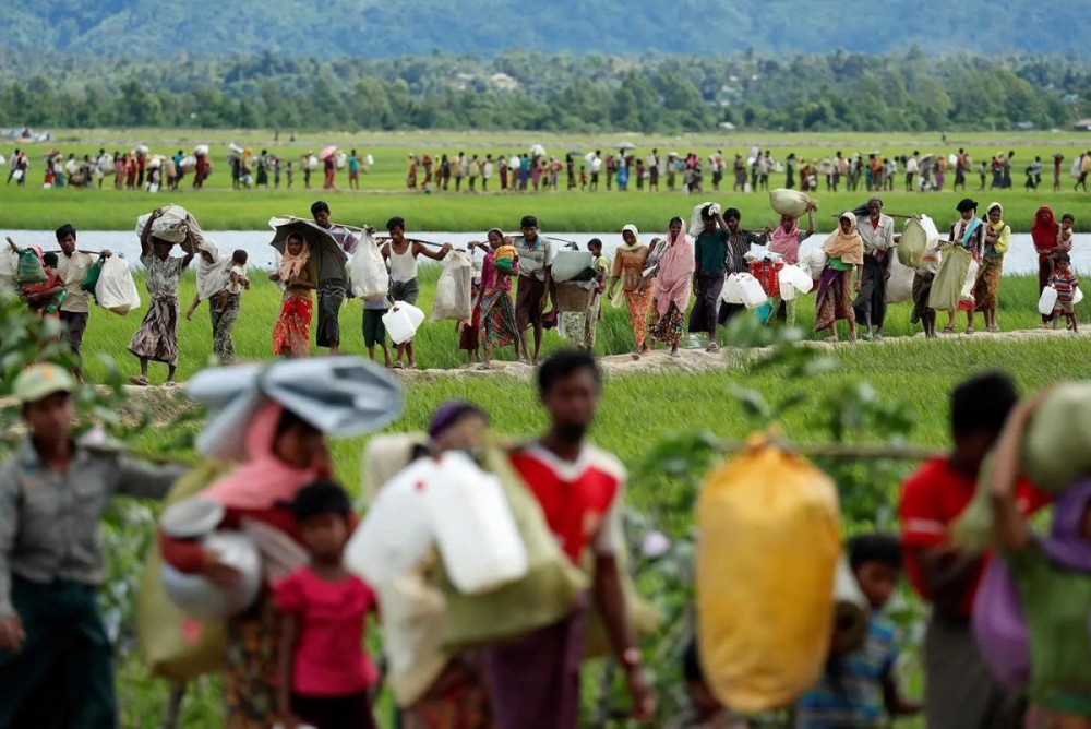 Rohingya refugees walk through rice fields after crossing the border from Myanmar into Palang Khali, Bangladesh. (Jorge Silva/Reuters)