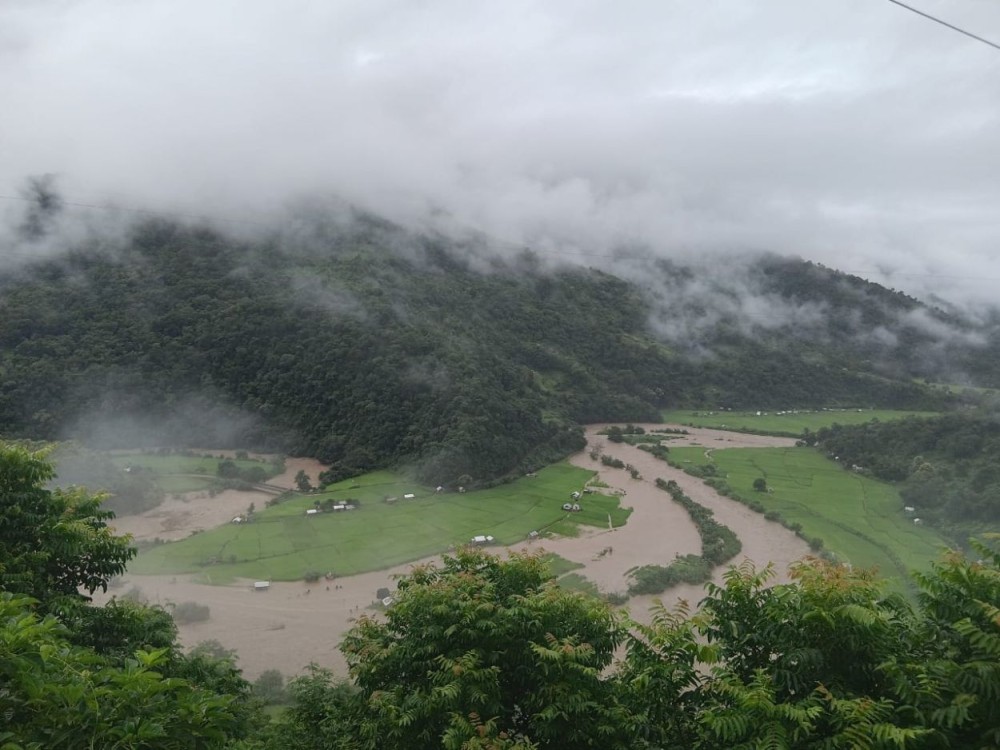 Due to incessant rainfalls, flash flood washed off Khropaküsü paddy field of Meluri village on September 14.