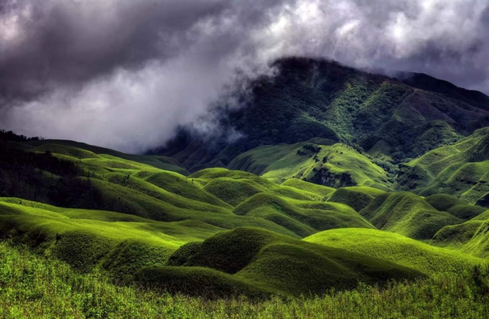 Dzükou Valley. (Photo Courtesy: nagalandtourism @tourismdeptgon)