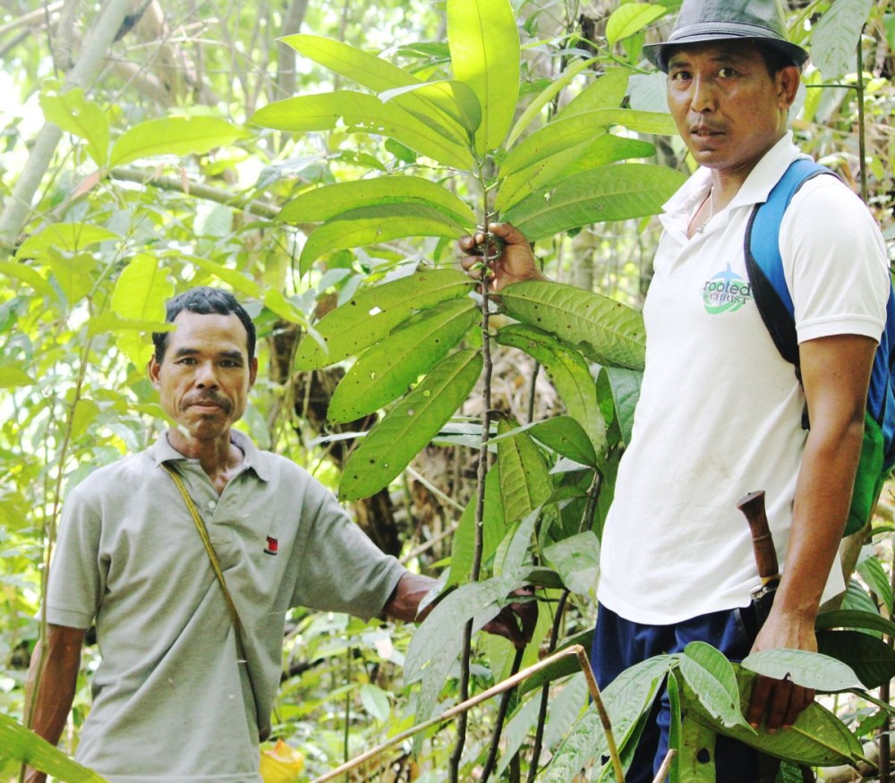 Local villagers of Jengjal, West Garo Hills, Meghalaya, with the species under study by Nagaland University