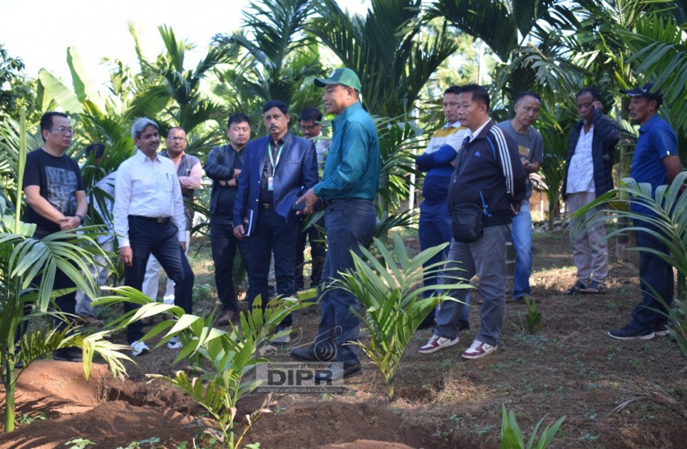 Deputy Director, Directorate of Arecanut and Spices Development (DASD), Calicut, Babulal Meena, along with DC Peren, Hiazu Meru, and other officials during a site visit for the arecanut cultivation feasibility study at Ngwalwa Village, Peren on  Decembr 16. (DIPR Photo)