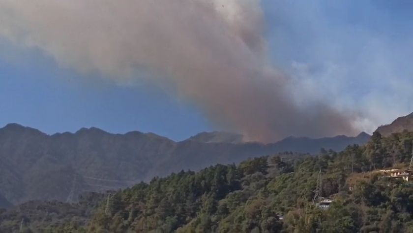 The wildfire in the terrain of the Dzükou valley continues to spread. (Photo Courtesy: Social media/video screengrab)