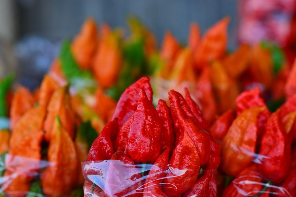 Dimapur: Spices Board seminar aims to  strengthen market linkages for Naga spices