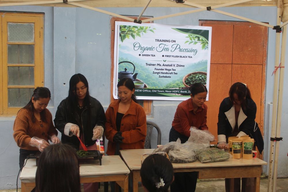 DHEW Zunheboto organised training on organic tea processing at its office premises in Old Town, Zunheboto on June 26. (Morung Photo)