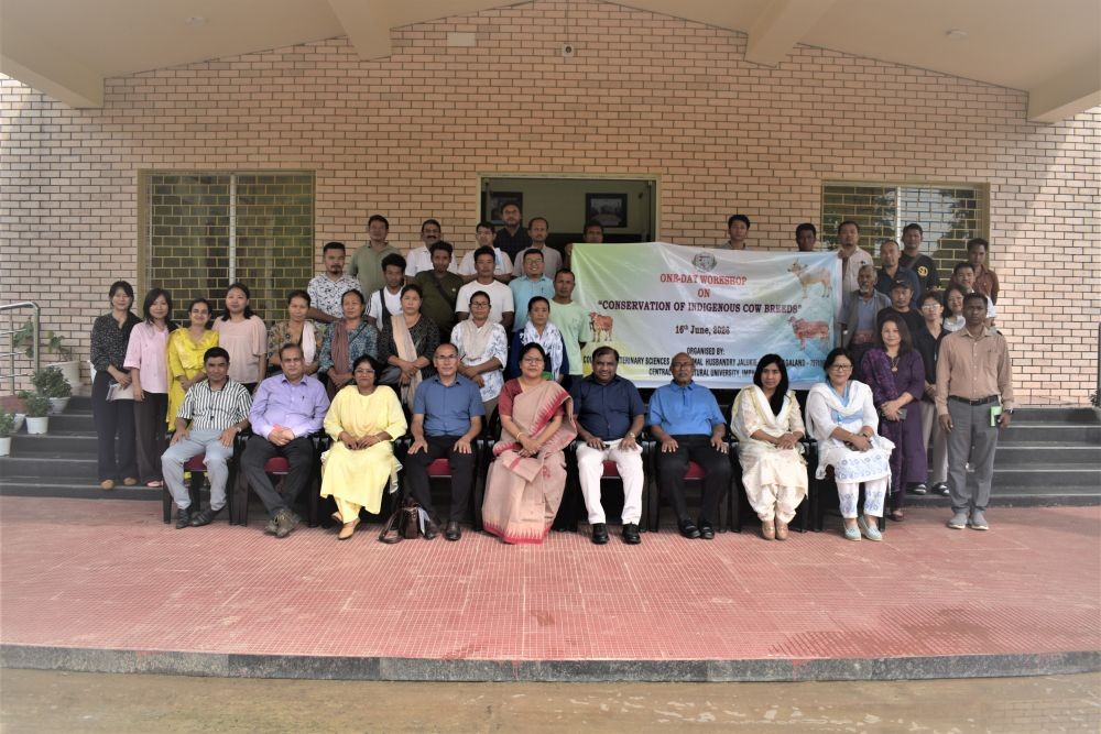 Attendees during the one-day scientific workshop on  ‘Conservation of Indigenous Cow Breeds’ held at CVScAH Jalukie on June 16. (Photo Courtesy:  CVScAH Jalukie)