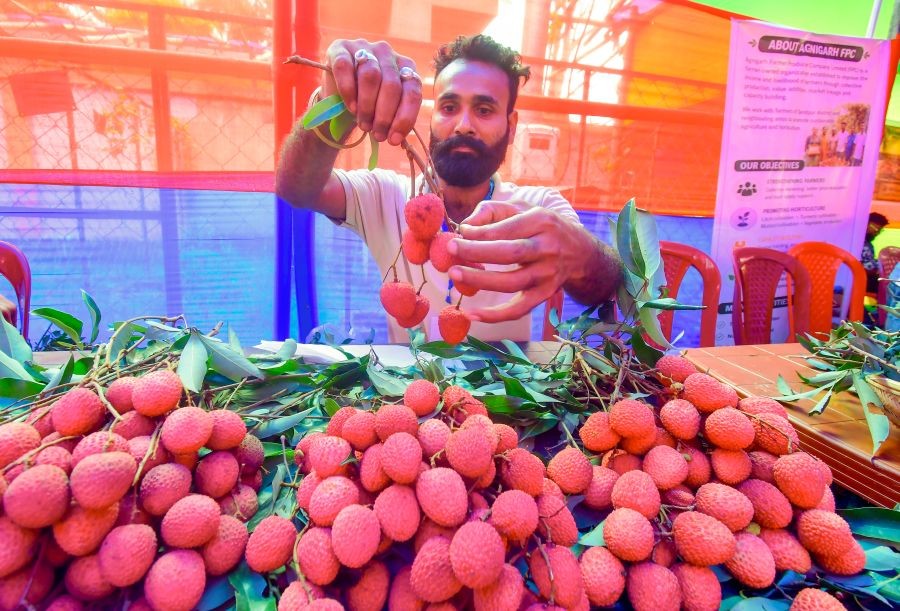 A vendor displays litchis at a stall during the litchi exhibition and sale at the Tezpur Litchi Festival-2026, in Sonitpur district of Assam on June 07, 2026. (IANS Photo)