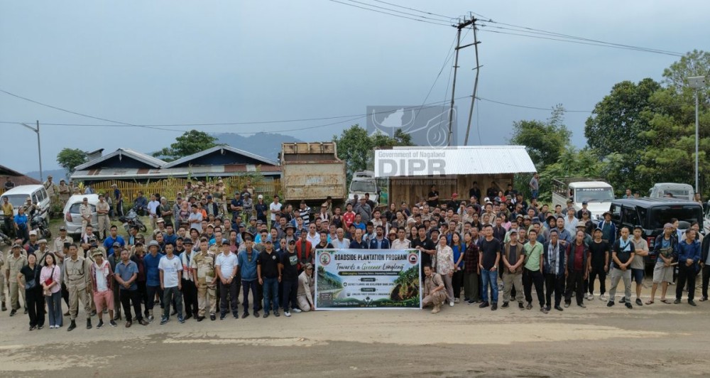 Officials along with the volunteers during the plantation drive held along National Highway-702A in Longleng on June 20. (DIPR Photo)