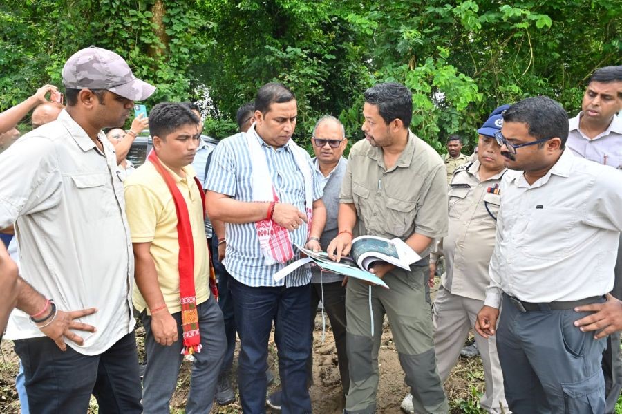 Assam to restore forest cover in Behali, action against encroachers (Photo: @jayanta_malla/X)