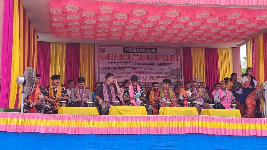 Assam's Bodoland Territorial Council launches awareness drive to reduce human-elephant conflict. (IANS Photo)