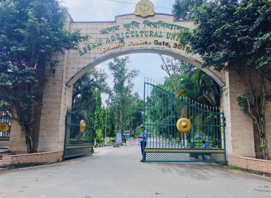 Assam Agricultural University to hold CET across 18 centres. (IANS Photo)