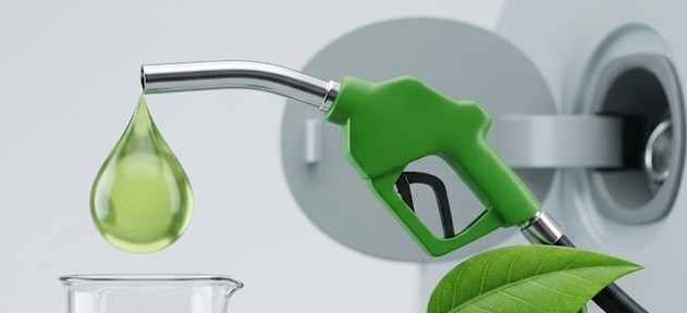 Centre dismisses reports of E-25 petrol rollout: Report. (IANS Photo)