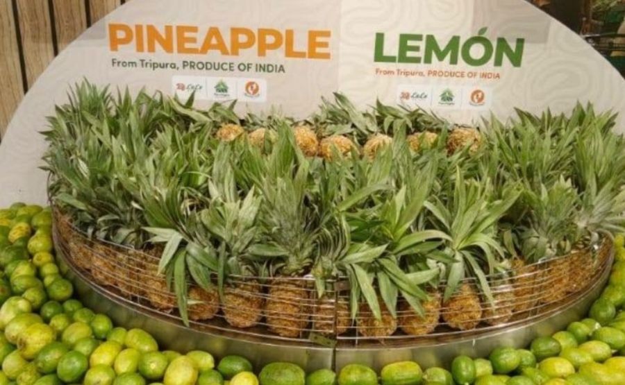 Tripura’s organic exports receive enthusiastic response in Dubai: Agri Minister. (IANS Photo)