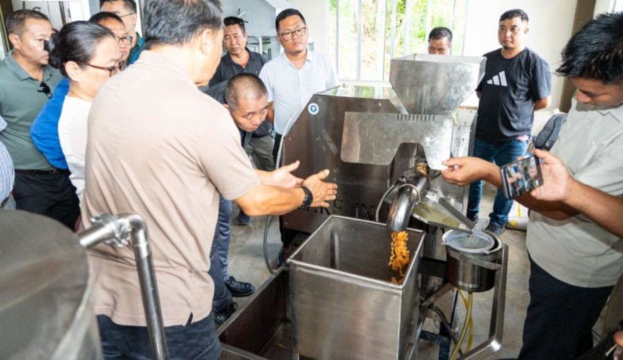 Mizoram to scale up ginger cultivation after NITI Aayog’s 'Ginger Capital' recognition. (Photo source: Information Dept officials)